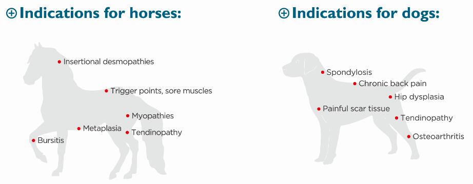  Exploring the Disadvantages of PET Scans: What You Need to Know Before Getting One